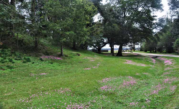 anceint mound site
